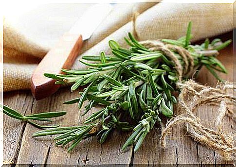 Rosemary is a concentration enhancement food in children