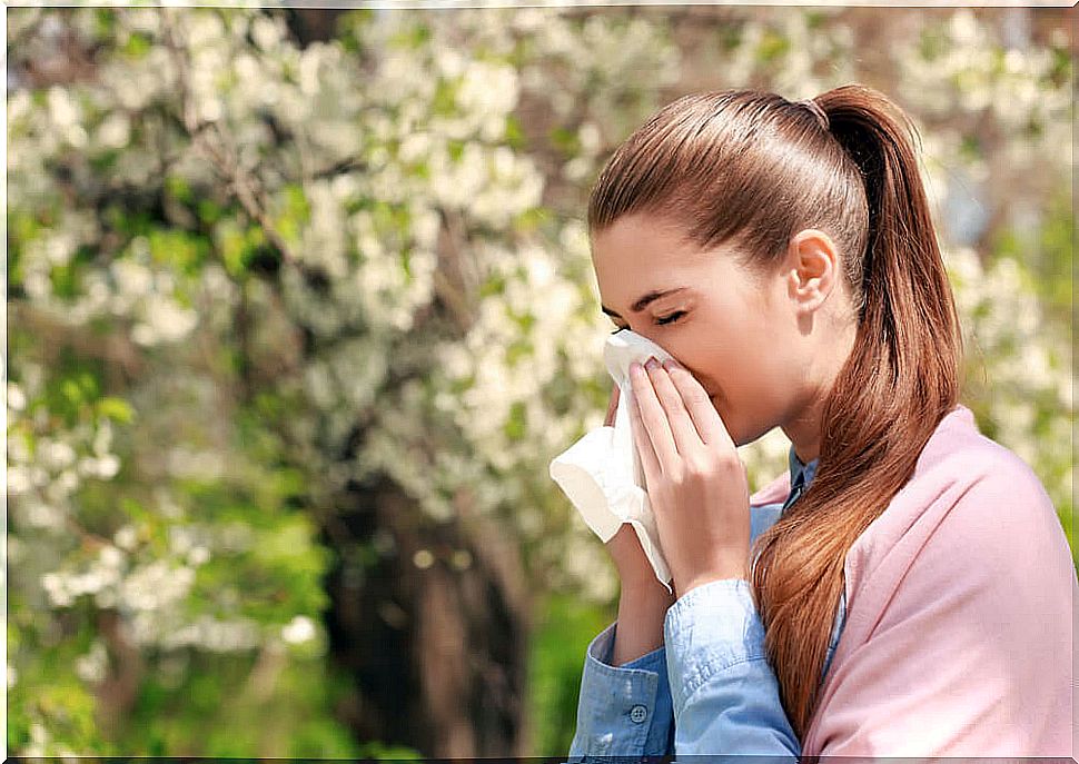 3 natural remedies for allergies