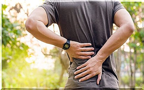 There are many reasons for back pain. 