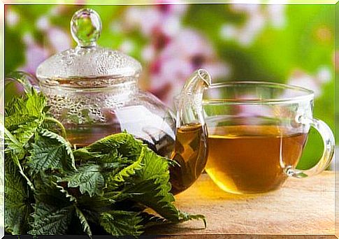 Nettle tea against muscle cramps