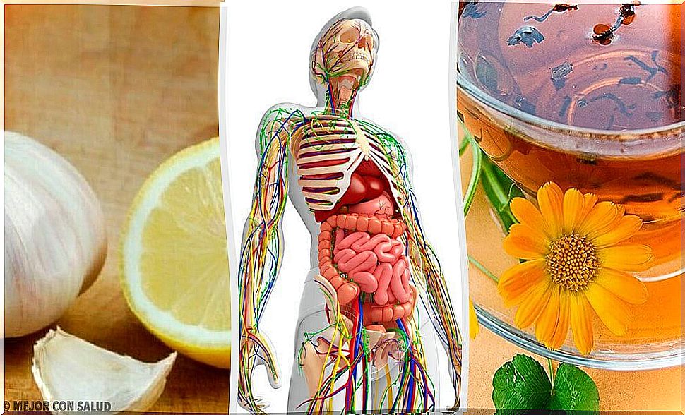 6 natural ways to detoxify the lymphatic system