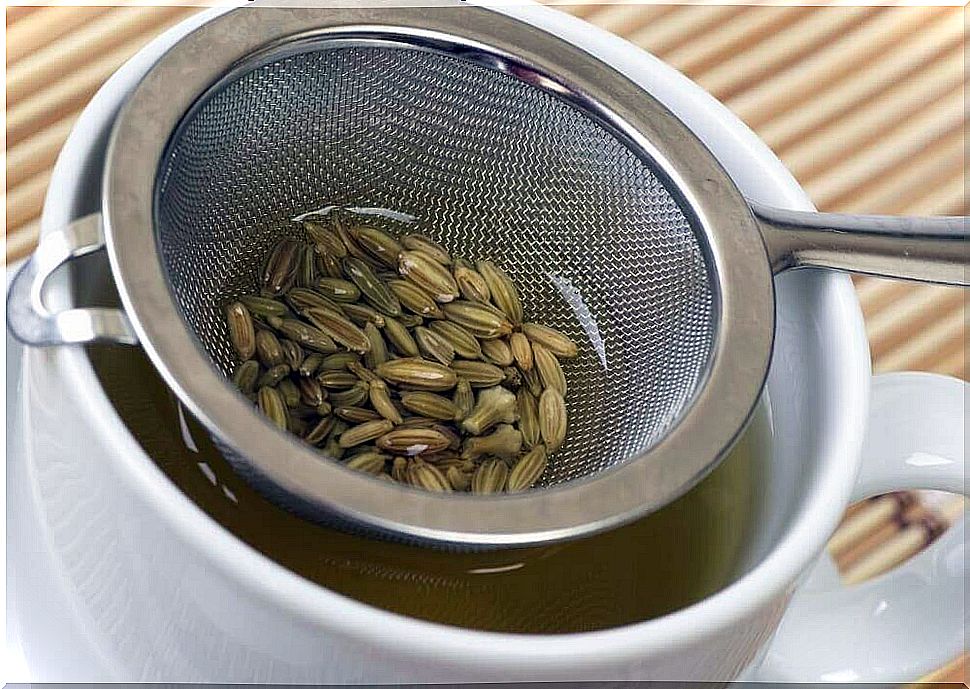 Fennel tea detoxification of the lymphatic system