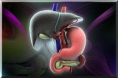 Signs fatty liver