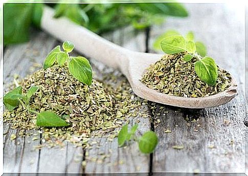 Oregano for a balanced sodium balance