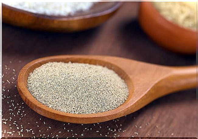 Brewer's yeast is a healthy dietary supplement