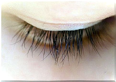 About eyelashes and eyelash growth