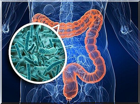 Do you want to improve your health?  Then start with the intestines ...