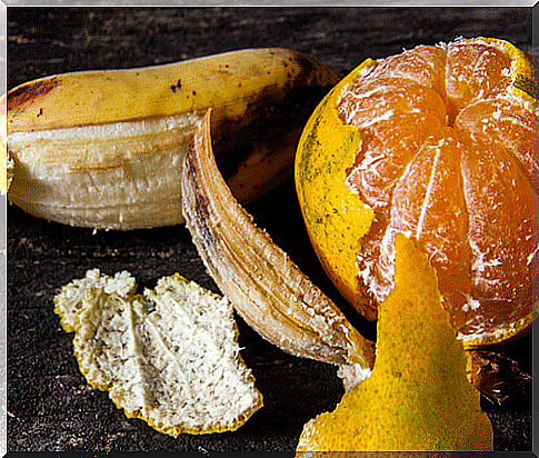 Don't throw it away: you can do so much with the peel of some types of fruit!