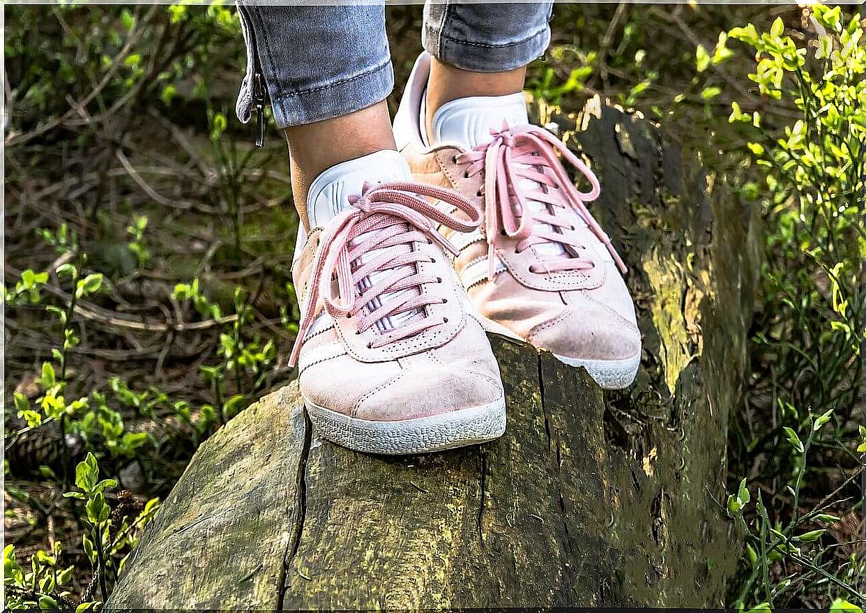 Sneakers balance on a log