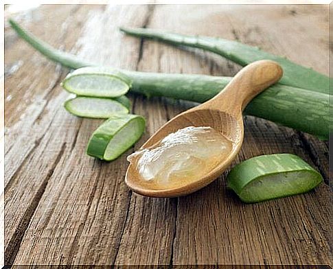 aloe-vera-for-a-healthy-liver