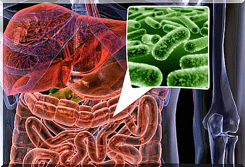 Intestinal lining 