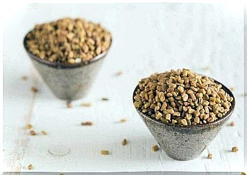 Fenugreek in two bowls to make tea with.