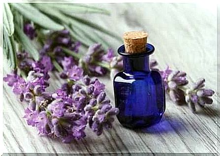 Lavender as a remedy for nervousness