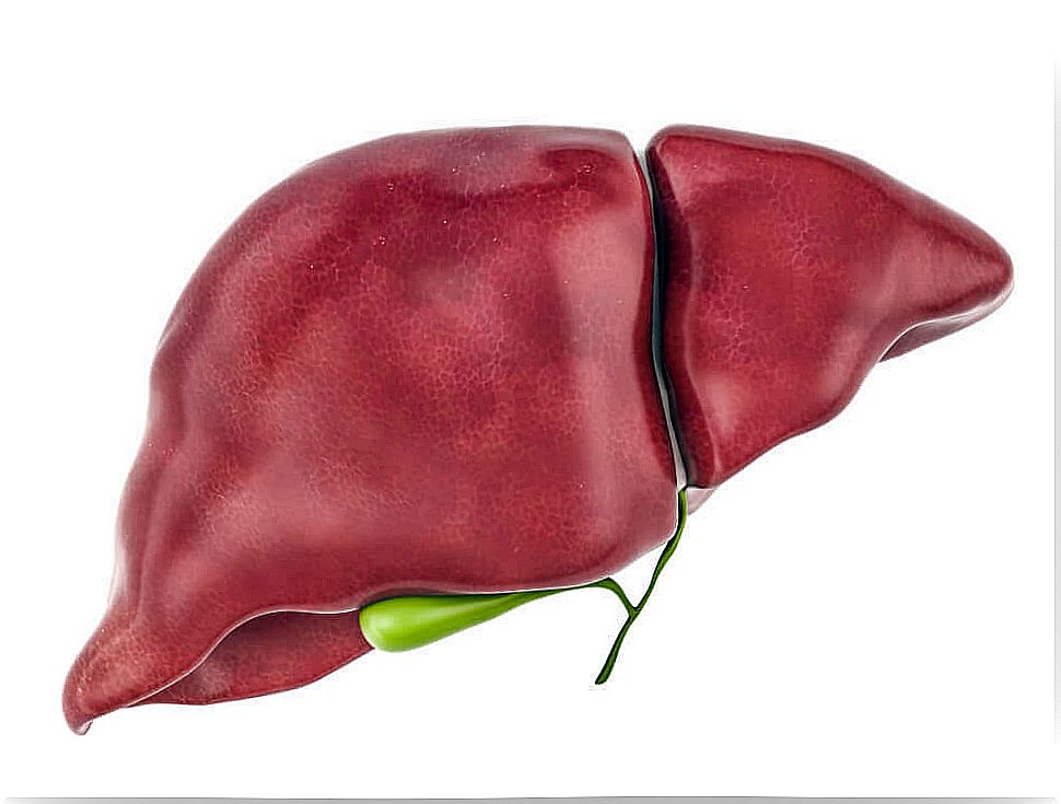 Toxins in the liver