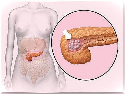 Interesting facts about the pancreas and its care