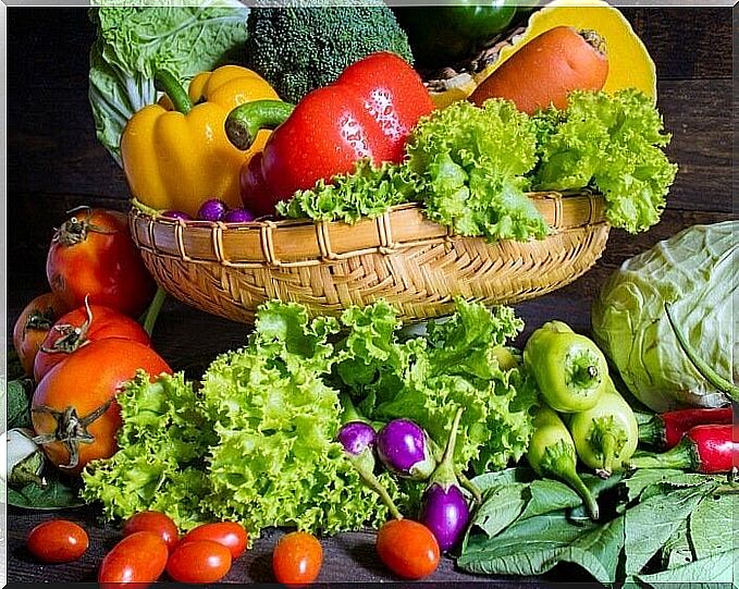 Vegetables for cannelloni with vegetable filling