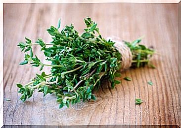 thyme