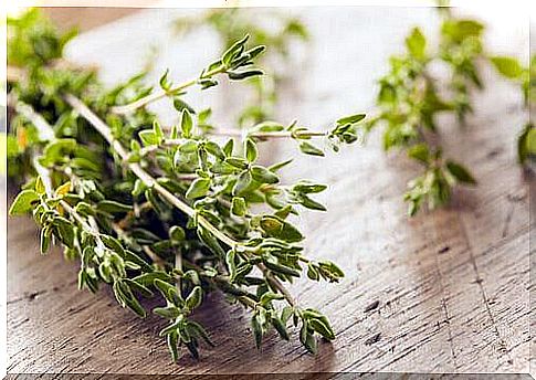 thyme