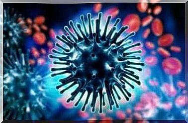 Study of Coronavirus Strains