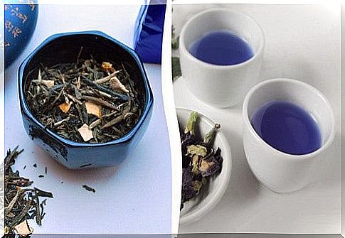 Oolong or blue tea for weight loss