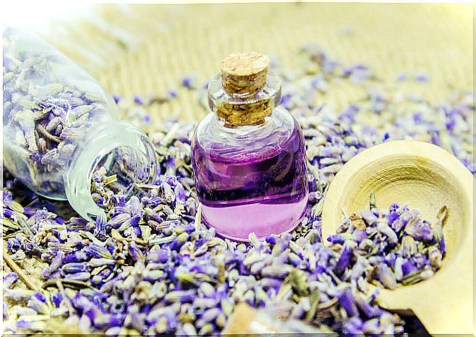 Manufacture and use of lavender essential oil