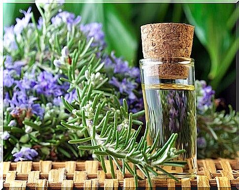 Rosemary in home remedies to improve blood circulation