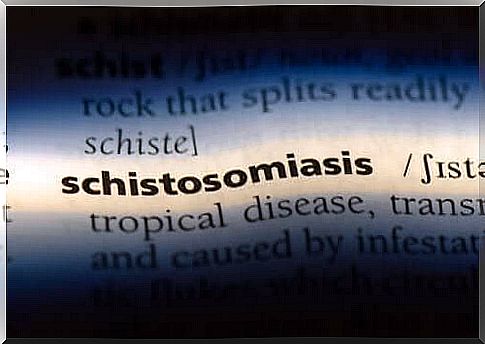 Schistosomiasis: causes, symptoms, and treatment