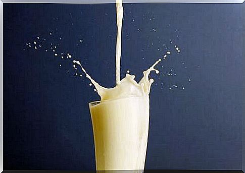 Skimmed milk versus whole milk