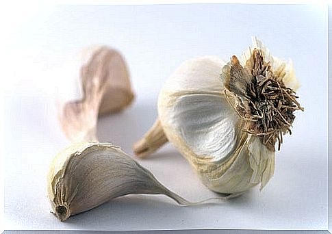 garlic