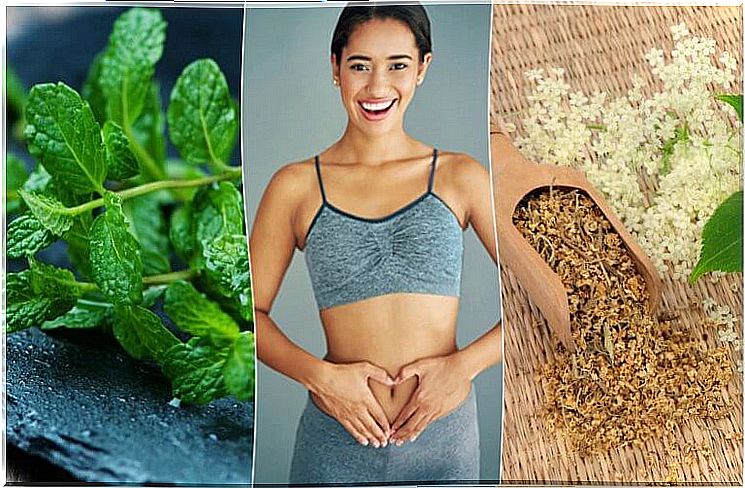 Take care of your digestion with these 6 medicinal plants!