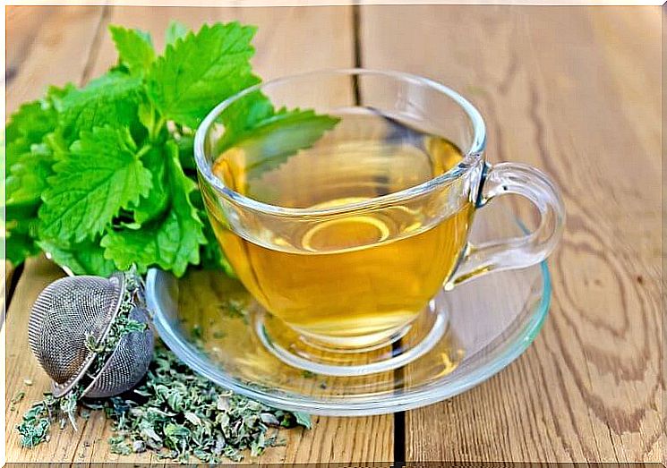 Lemon balm helps your digestion