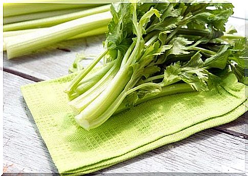 celery 