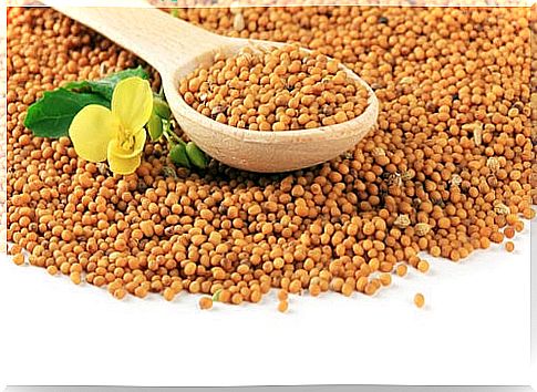 Mustard seeds with a wooden spoon