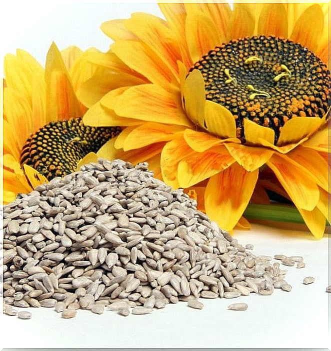 fresh sunflower seeds in front of a sunflower