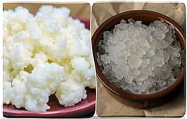 Recipe for water kefir