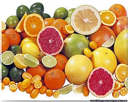 Why citrus fruits help you lose weight.  5 recipe ideas