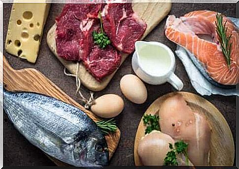 Why is protein intake so important?