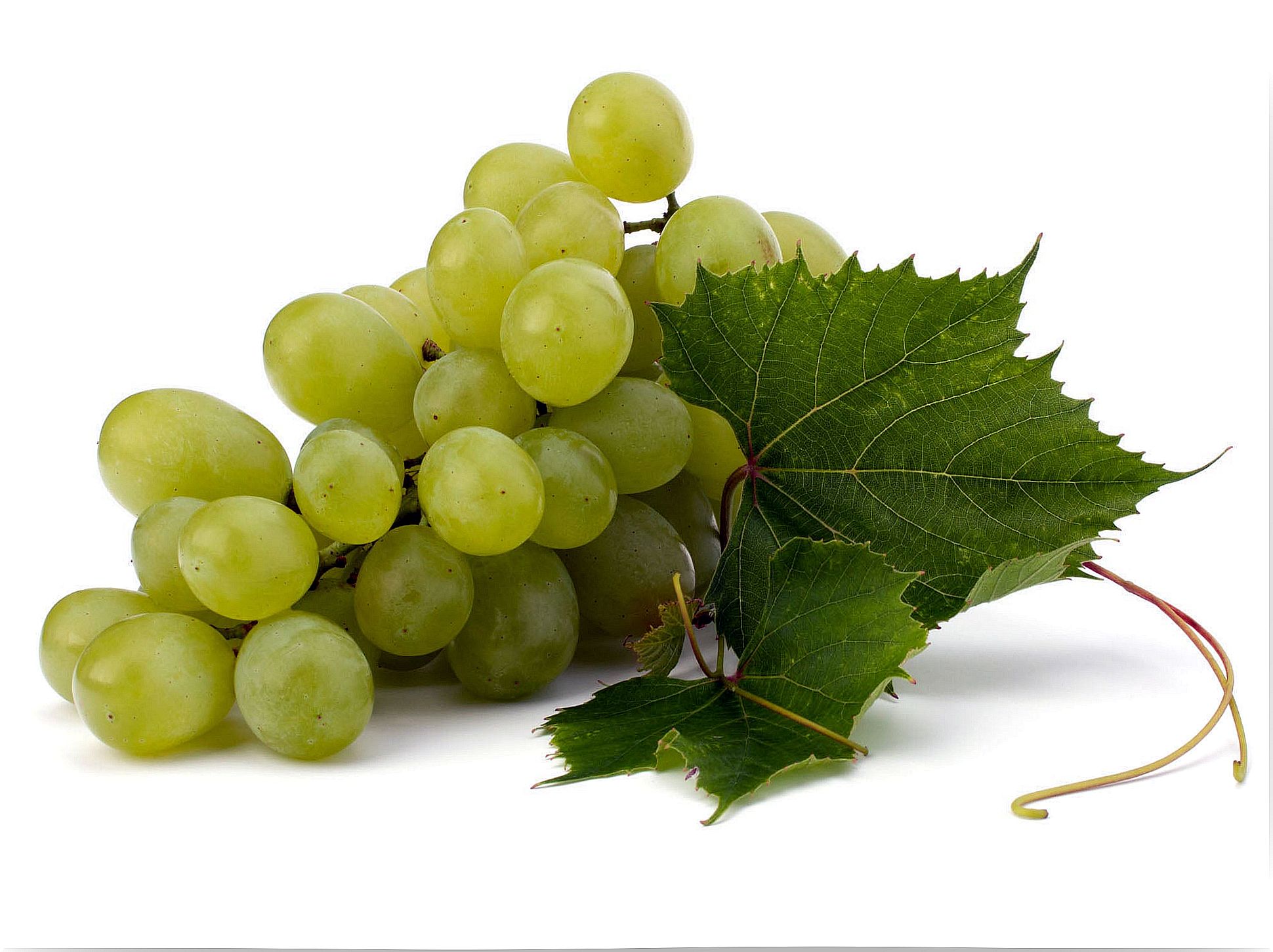 Benefits of white grapes and why eating grapes every day is so healthy