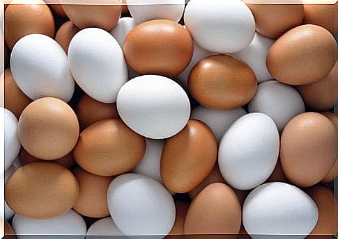 Chicken eggs against vitamin B12 deficiency