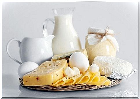 Dairy products with vitamin B12